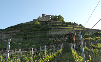 Willkommen in Staufen !